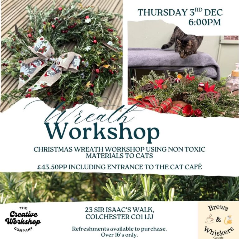 Cat Café Christmas Wreath Workshop