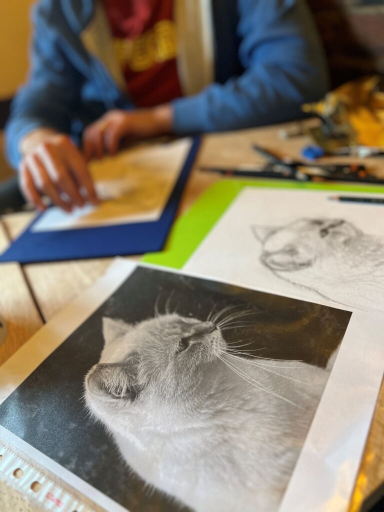 Trust The Process: Observational Drawing